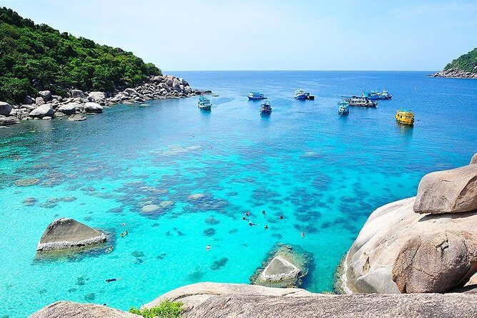 Koh Tao & Koh Nangyuan by Speed Boat (Snorkeling trip from Koh Samui) - Group size reality: when 75 turns into a moving classroom