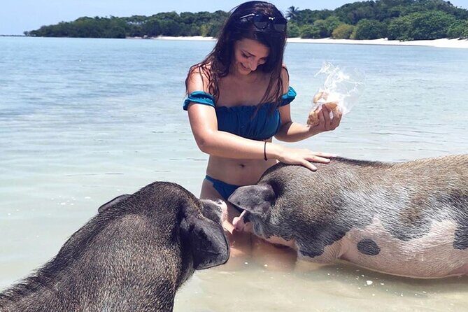 kohsamui.tours - Pig Island Snorkeling Eco Tour by Speed Boat - The Return Cross and What You Might Spot on the Water