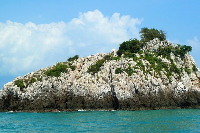 Mr. Tu Fishing Day Trip by Escort Boat from Koh Samui - What You’ll Go After: Barracuda, Trevally, and Snapper