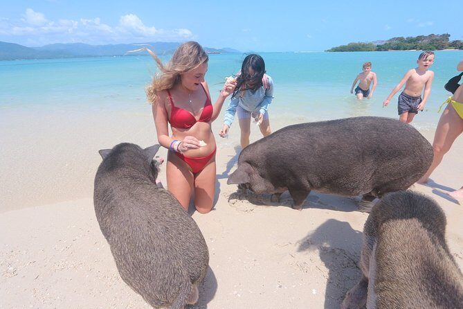 Pig Feeding, Kayaking, Snorkeling Trip at Pig Island By Speedboat From Koh Samui - Gear, safety, and who should skip this one