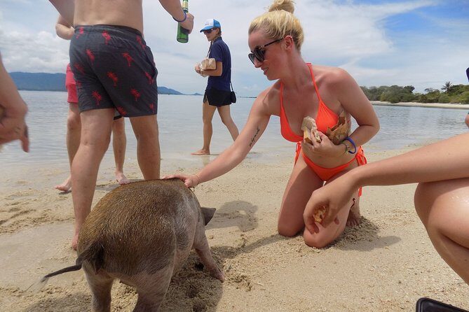 Pig Feeding, Kayaking, Snorkeling Trip at Pig Island By Speedboat From Koh Samui - Who this Pig Island trip suits best (and who might get annoyed)