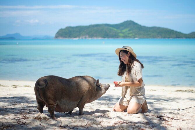Pig Island (Koh Mudsum) and Koh Tan Tour with Meal from Koh Samui - Quick hits: what makes this tour worth your attention