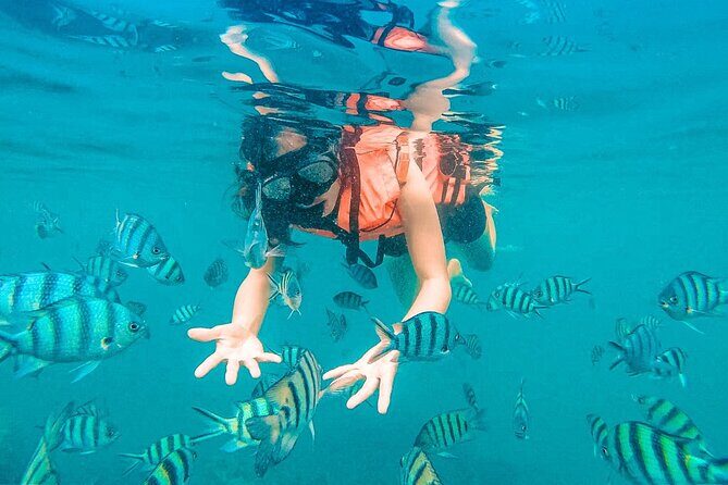 Pig Island (Koh Mudsum) and Koh Tan Tour with Meal from Koh Samui - Why this half-day island loop works near Koh Samui