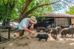 Pig Island (Koh Mudsum) and Koh Tan Tour with Meal from Koh Samui - Getting picked up in Koh Samui: where your meeting point can change