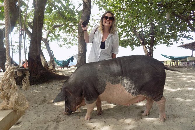 Pig Island Snorkeling & Sightseeing Tour By Speedboat From Koh Samui - Stop 1: Koh Tan Snorkeling and the Reef Reality Check