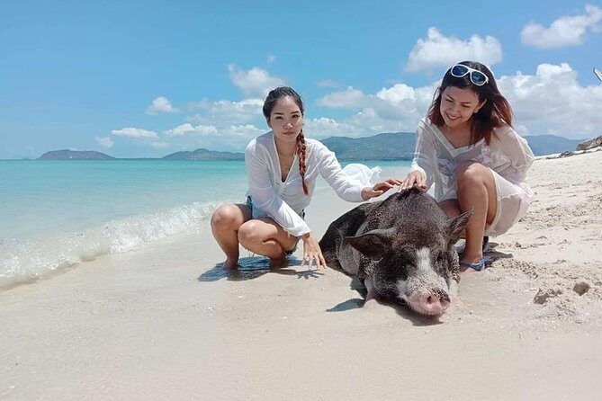 Pig Island Snorkeling & Sightseeing Tour By Speedboat From Koh Samui - The Boat Ride Portion That Often Feels Like the Best Part