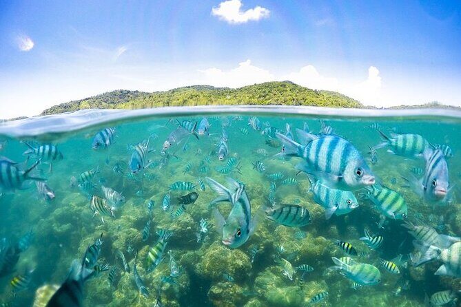 Pig Island Tour by Speedboat with Snorkeling - The crew makes it feel easy: Superman, Alex, Joe (Biden), and Coca-Cola
