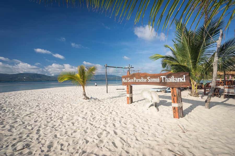 Pig Island(Koh Mudsum) and Koh Tan Half Day Snorkeling Tour - Koh Tan Snorkeling: Clear Water, One Focused Stop