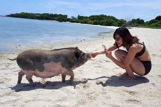 Pigs Island exclusive Semi VIP - What you get on board: drinks, fruit, snacks, and gear