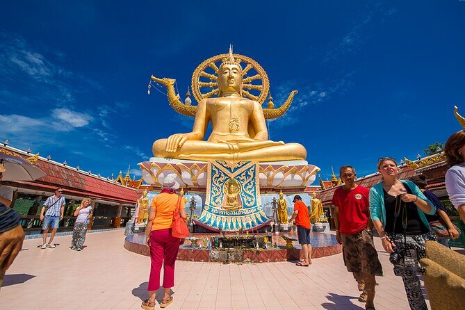 Private Half-Day Koh Samui Tour - Private by design: pickup, minivan comfort, and what up to 8 people really means