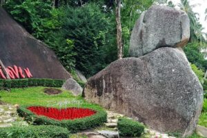 Private Ko Samui Island Tour with Air-Conditioned VIP Minivan - Hin Ta & Hin Yai: the rocks with Samui myths behind them