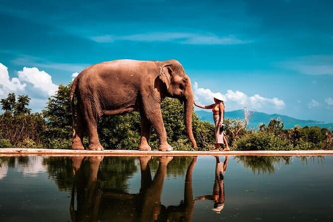 Private Photoshoot in Koh Samui for Couples & Families - How the 1-hour session plays out (pickup to photo delivery)