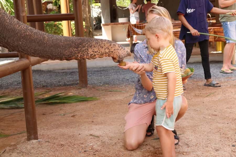 Samui: Elephant Nutrition and Care Education Experience - Samui Elephant Home Nutrition Class: What Makes This Experience Different