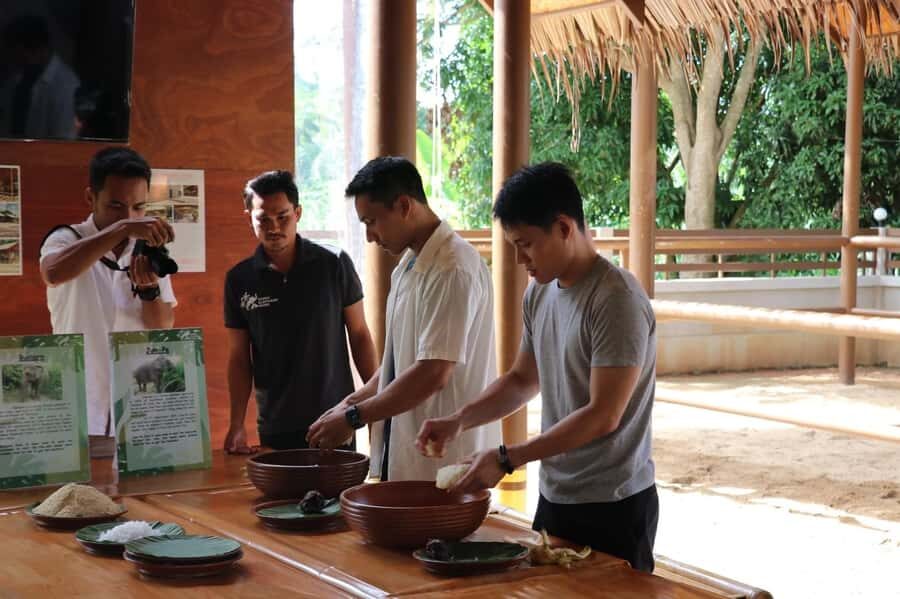 Samui: Elephant Nutrition and Care Education Experience - Feeding Time in a Safe, Respectful Environment (With Photo Opportunities)