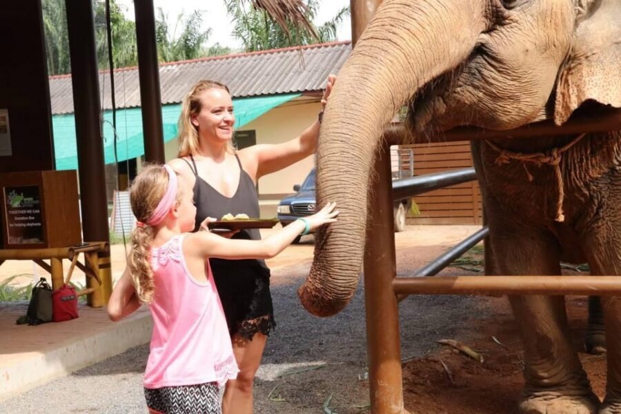 Samui: Elephant Nutrition and Care Education Experience - Who This Tour Fits Best (And Who Might Want Another Option)
