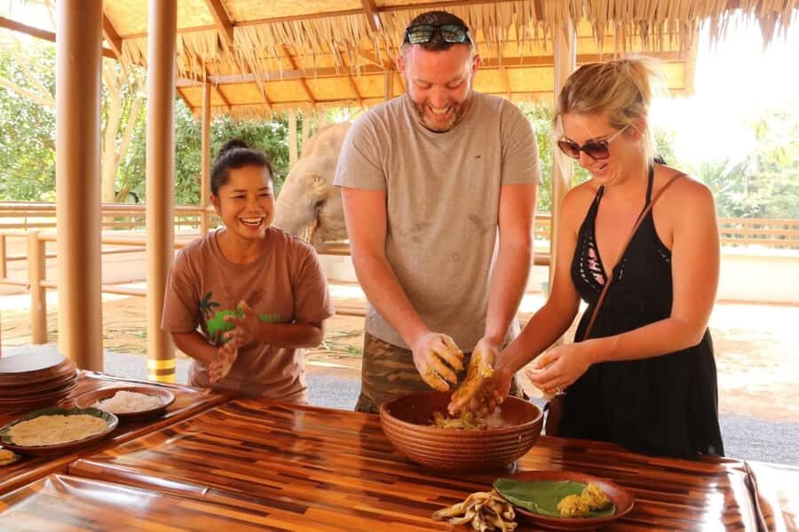 Samui: Elephant Nutrition and Care Education Experience - Getting There From Ko Samui: Pickup, Timing, and How the 2 Hours Add Up