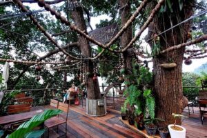 Tree Bridge Cafe And Zipline - Jungle Flight Adventure in Koh Samui - Getting there: pickup zones, meeting point, and luggage reality