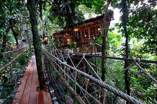 Tree Bridge Cafe And Zipline - Jungle Flight Adventure in Koh Samui - Before you fly: training, gear, and the Tree Bridge Cafe break