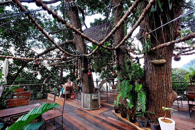 Tree Bridge Cafe And Zipline - Jungle Flight Adventure in Koh Samui - Getting there: pickup zones, meeting point, and luggage reality