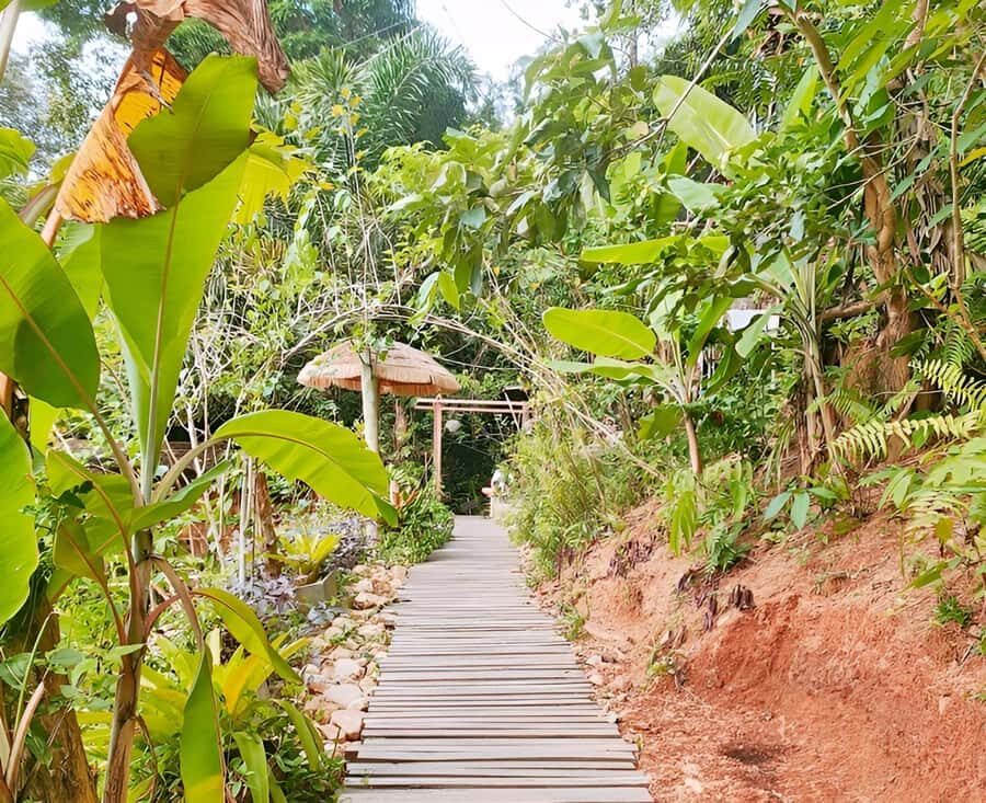 Zipline in Koh Samui Adventure activity tour - Should You Book the Koh Samui Zipline?