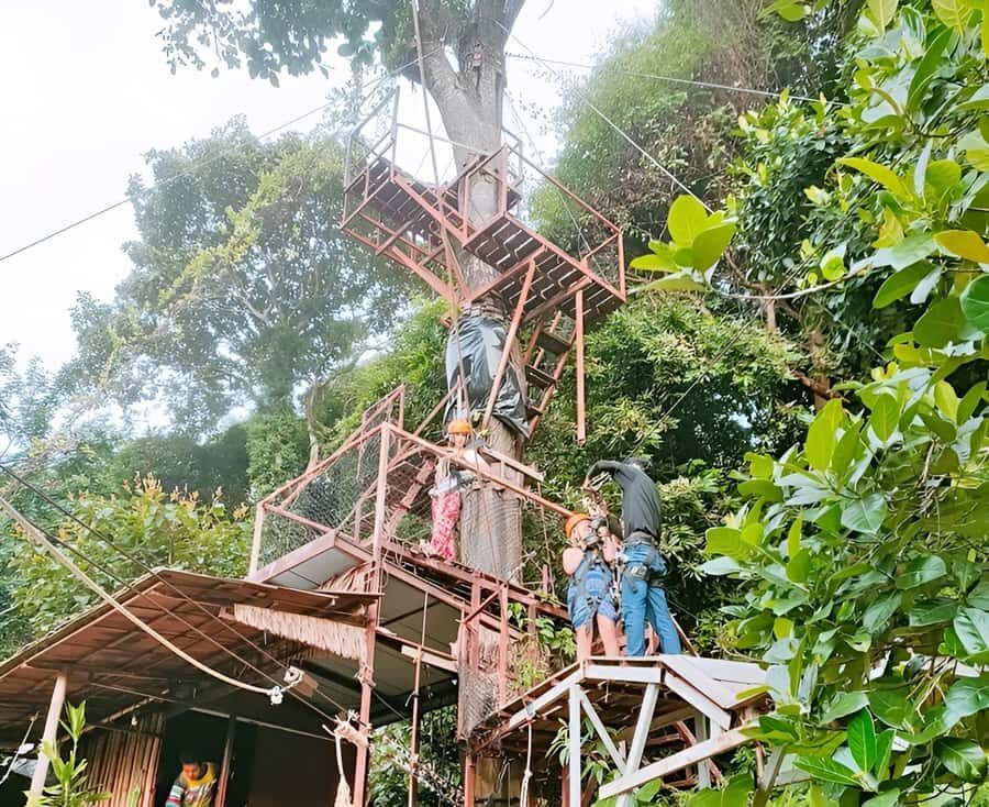 Zipline in Koh Samui Adventure activity tour - The Zipline Portion: 9 Rides, PETZL Gear, and a Guided Flow