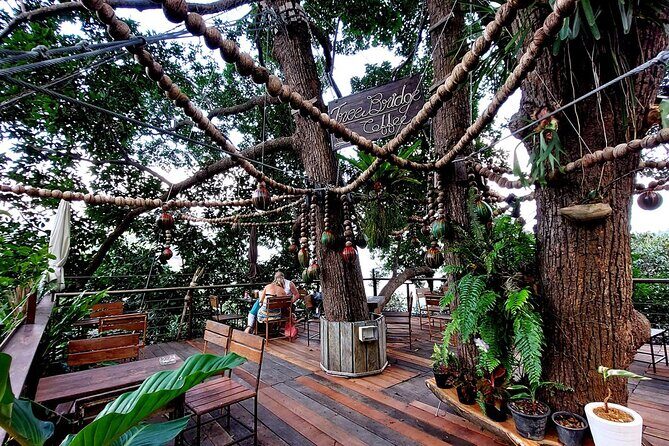 Zipline Ride on Koh Samui - What “family friendly” means in real life
