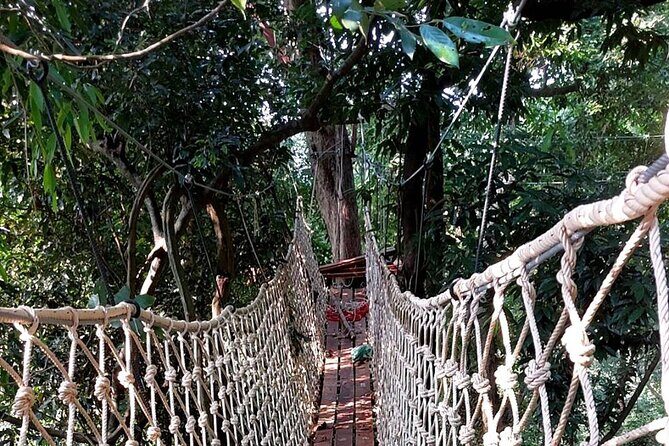 Zipline Ride on Koh Samui - Quick tips for a smoother ride (and better photos)